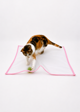 Sheer Fun For Cats (new version pink🌸 velcro attachments not included) Sale ends 7/27/2026
